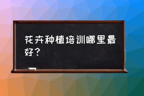 滨州哪里可以学插花 花卉种植培训哪里最好？