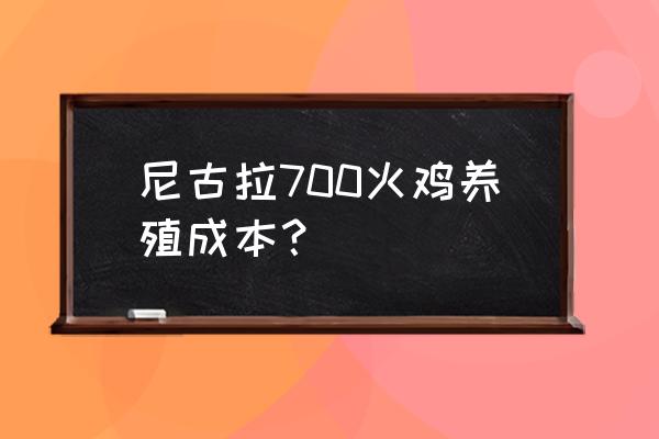 有没有尼古拉火鸡养殖场 尼古拉700火鸡养殖成本？