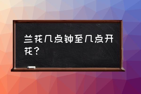 兰花什么时候开几时几分 兰花几点钟至几点开花？