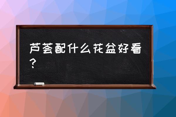 芦荟用什么花盆最好 芦荟配什么花盆好看？