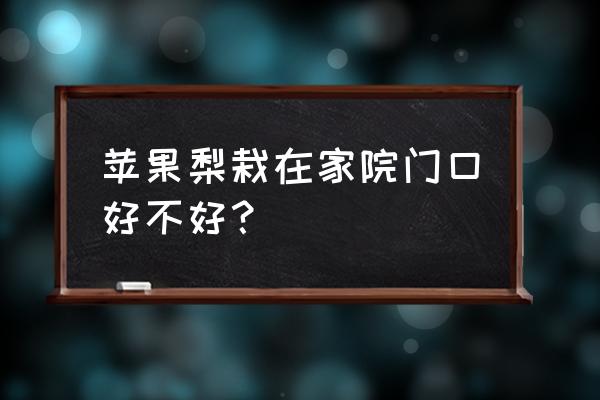 家门口有个苹果树好吗 苹果梨栽在家院门口好不好？