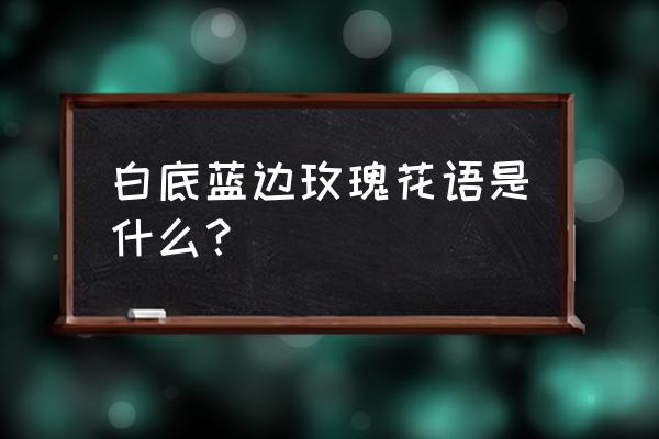 花边玫瑰代表什么 白底蓝边玫瑰花语是什么？