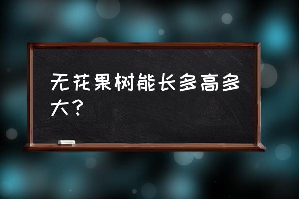 无花果树可以长到多大 无花果树能长多高多大？