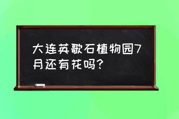 旅顺植物园现在叫什么 大连英歌石植物园7月还有花吗？