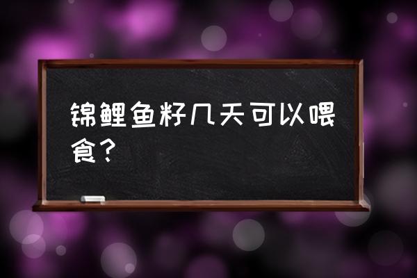 锦鲤孵化几天饲料 锦鲤鱼籽几天可以喂食？