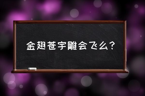 金翅苍宇雕的饲料怎么获得 金翅苍宇雕会飞么？