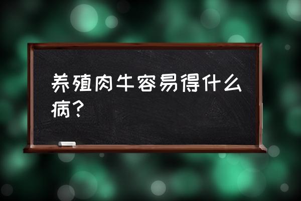 养牛时间长了会得病吗 养殖肉牛容易得什么病？