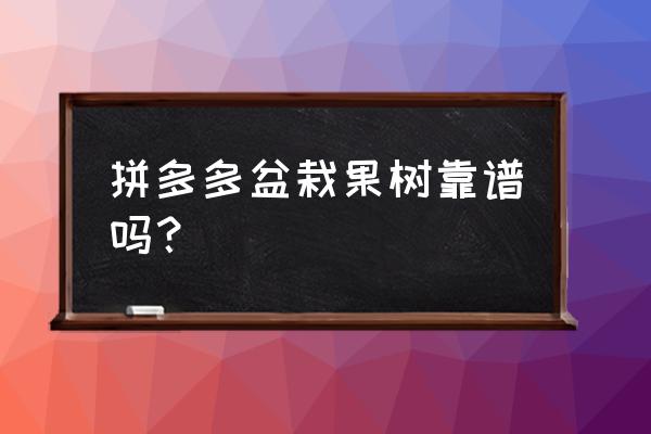 网上买盆栽果树容易活吗 拼多多盆栽果树靠谱吗？