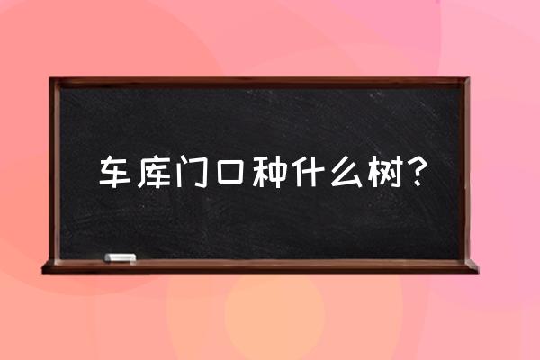 新建车库上做绿化带风水好不 车库门口种什么树？