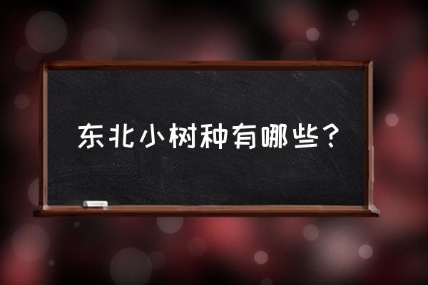 黑龙江落叶灌木有哪些 东北小树种有哪些？