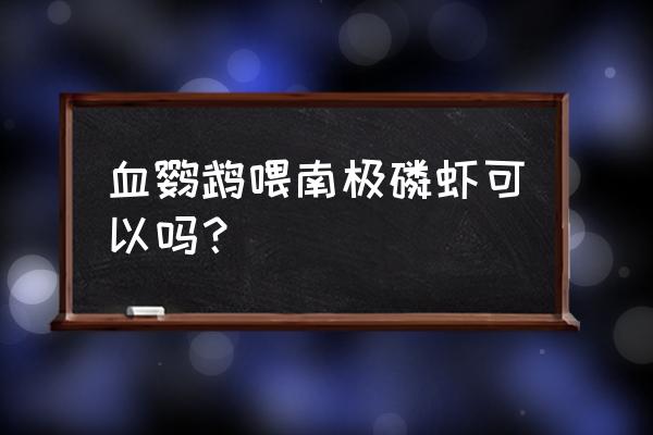 血鹦鹉吃什么饲料增红 血鹦鹉喂南极磷虾可以吗？