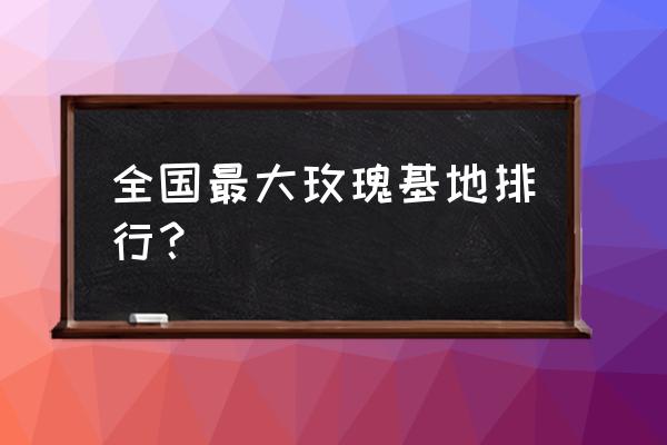 世上最大的玫瑰产地在哪里 全国最大玫瑰基地排行？