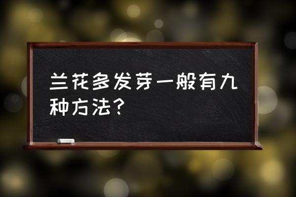 兰草长出的兰花新枝怎样发芽 兰花多发芽一般有九种方法？