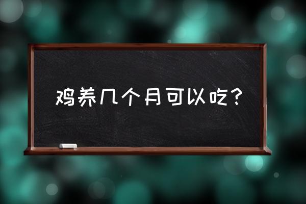 饲料鸡自己养多久能吃 鸡养几个月可以吃？