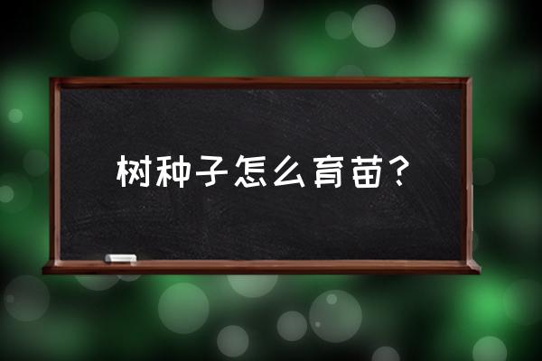 苗木育苗技术主要有哪些 树种子怎么育苗？