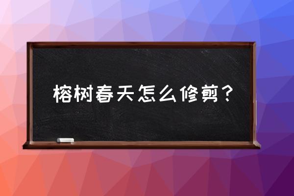 盆栽?树春天可剪枝叶吗 榕树春天怎么修剪？