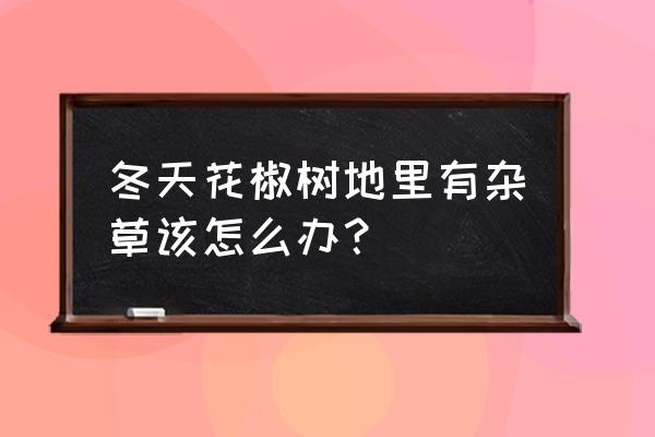 花椒树地能用草甘膦吗 冬天花椒树地里有杂草该怎么办？