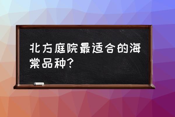 哈尔滨适合种哪种海棠花 北方庭院最适合的海棠品种？