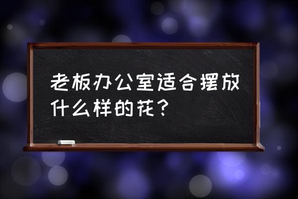 办公桌养兰花好不好 老板办公室适合摆放什么样的花？