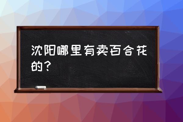 沈阳大东北艺园花木小镇在哪里 沈阳哪里有卖百合花的？