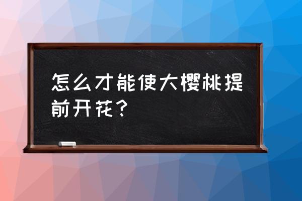 大棚果树怎么让它提前开花 怎么才能使大樱桃提前开花？