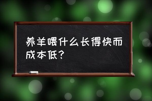 什么饲料喂羊长的快速 养羊喂什么长得快而成本低？