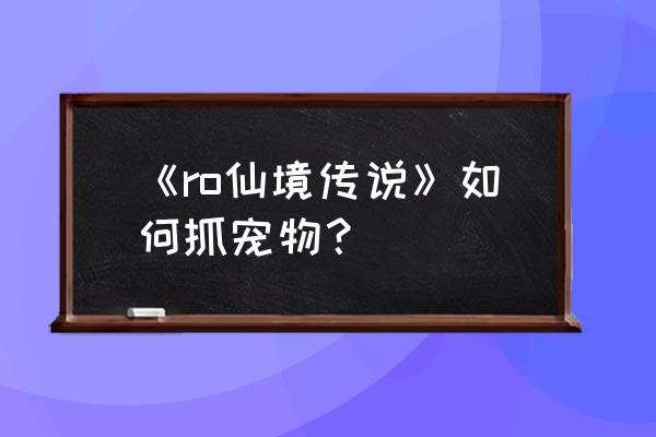 仙境传说瓦尔格地龙能不能攻击 《ro仙境传说》如何抓宠物？