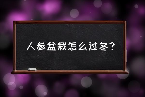 湖北人参盆栽怎么 人参盆栽怎么过冬？