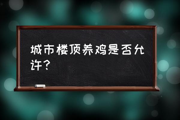 住房楼上养鸡好不好 城市楼顶养鸡是否允许？