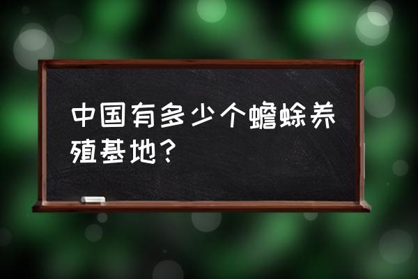 中国蟾蜍养殖基地有哪几家 中国有多少个蟾蜍养殖基地？