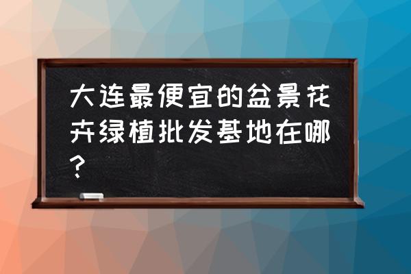 大连哪里买盆栽植物 大连最便宜的盆景花卉绿植批发基地在哪？