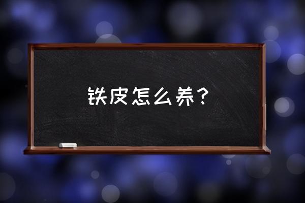 铁皮石斛夏天能晒吗盆栽 铁皮怎么养？