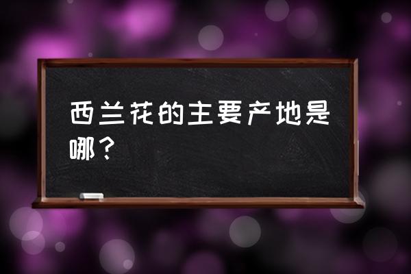 西兰花生产在什么地方 西兰花的主要产地是哪？