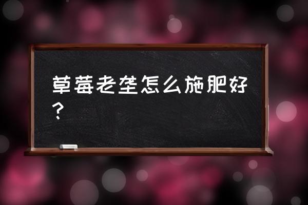 如何给草莓施磷肥 草莓老垄怎么施肥好？