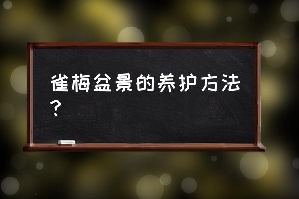 雀梅盆景能施复合肥吗之 雀梅盆景的养护方法？