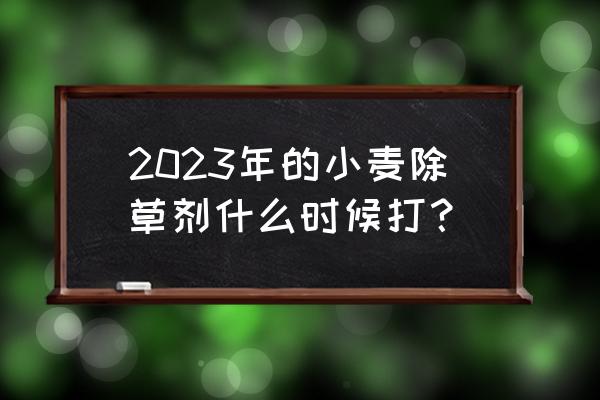 现在打除草剂玩吗 2023年的小麦除草剂什么时候打？