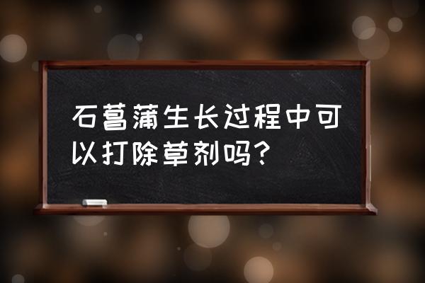 九节菖蒲地能打草甘膦灭草剂吗 石菖蒲生长过程中可以打除草剂吗？