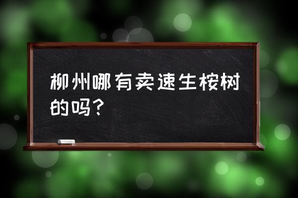 广西融水昱顺木材厂在哪里 柳州哪有卖速生桉树的吗？