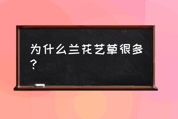 兰花艺草什么山才会出 为什么兰花艺草很多？