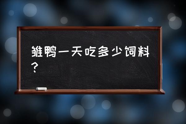 雏鸭一个月要吃多少饲料 雏鸭一天吃多少饲料？