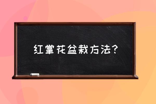 红掌花卉盆栽如何养殖 红掌花盆栽方法？