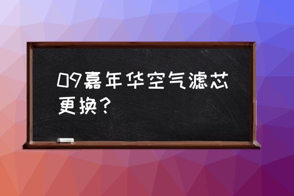 福特嘉年华有什么空气滤芯 09嘉年华空气滤芯更换？