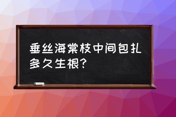 垂丝海棠什么时候扦插 垂丝海棠枝中间包扎多久生根？