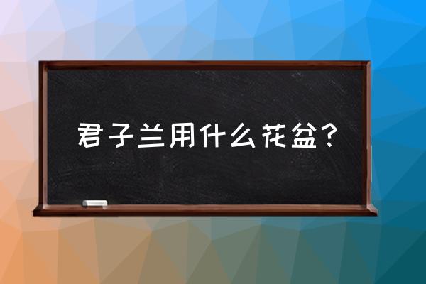 君子兰如何选择正确的花盆 君子兰用什么花盆? 君子兰如何选择正确的花盆 君子兰用什么花盆?