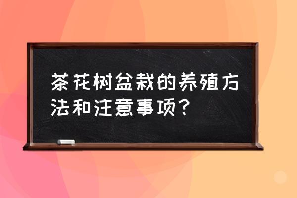 如何养好盆栽山茶花 茶花树盆栽的养殖方法和注意事项？