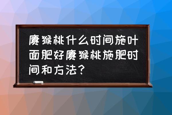 猕猴桃雨后施叶面肥有啥影响 猕猴桃什么时间施叶面肥好猕猴桃施肥时间和方法？