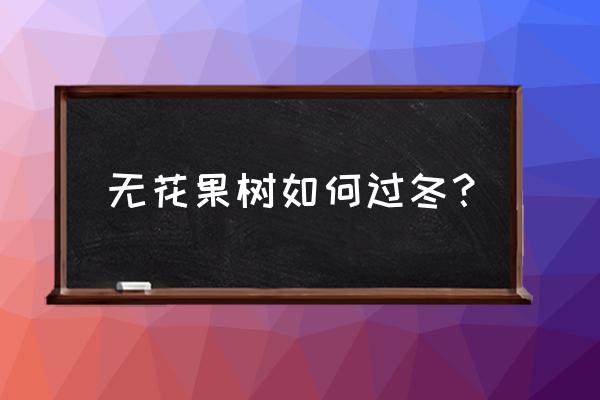 冬天种无花果树能活吗 无花果树如何过冬？