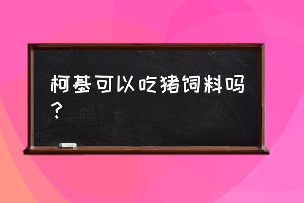 什么样的猪饲料喂狗好 柯基可以吃猪饲料吗？