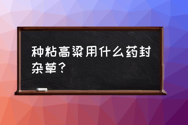 高粱地能不能打百草枯 种粘高粱用什么药封杂草？