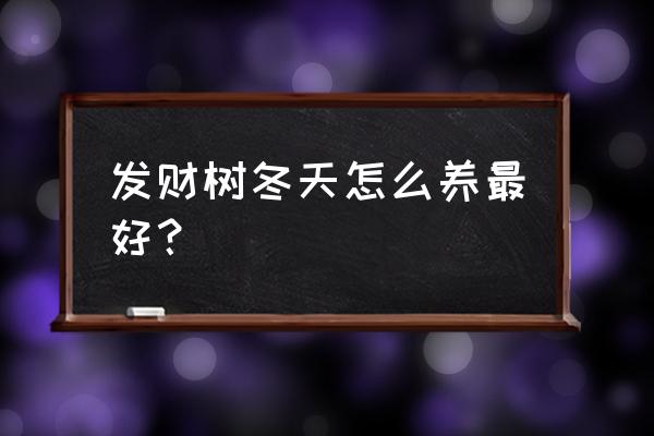 盆栽发财树如何过冬 发财树冬天怎么养最好？